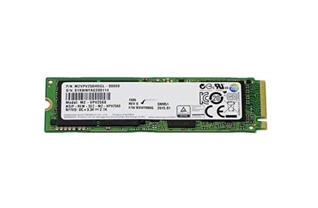 256gb-pcie-3-0-x4-nvme-ssd-warranty-6m